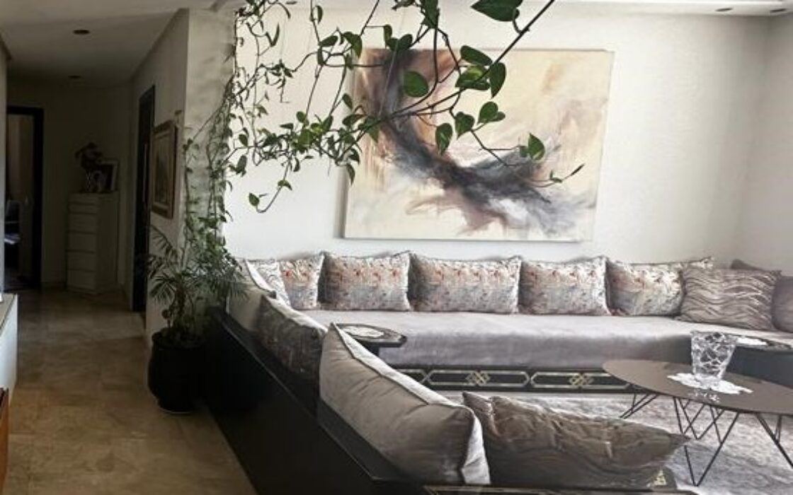 Vente d’un très bel appartement Cosy de 165m²